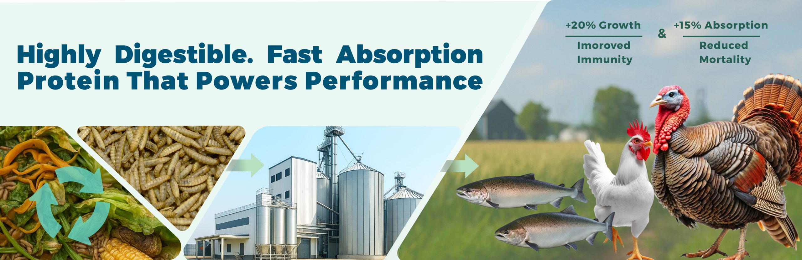 Producer Insect All Insect – Organic Feed, Premium Quality